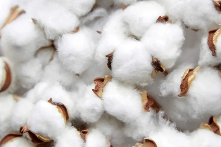 Recycled Cotton vs Organic Cotton: Making Informed Choice #1