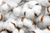 Organic combed cotton – the facts you need to know